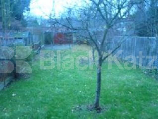 			LET!, 2 Bedroom, 1 bath, 1 reception Flat			 Ferme Park Road, CROUCH END N8